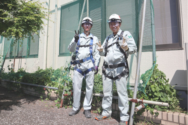 グリーンカーテンを設置しました。